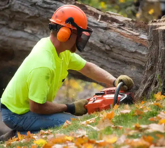 tree services Chanhassen